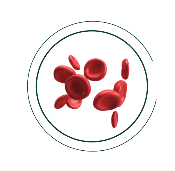 circular